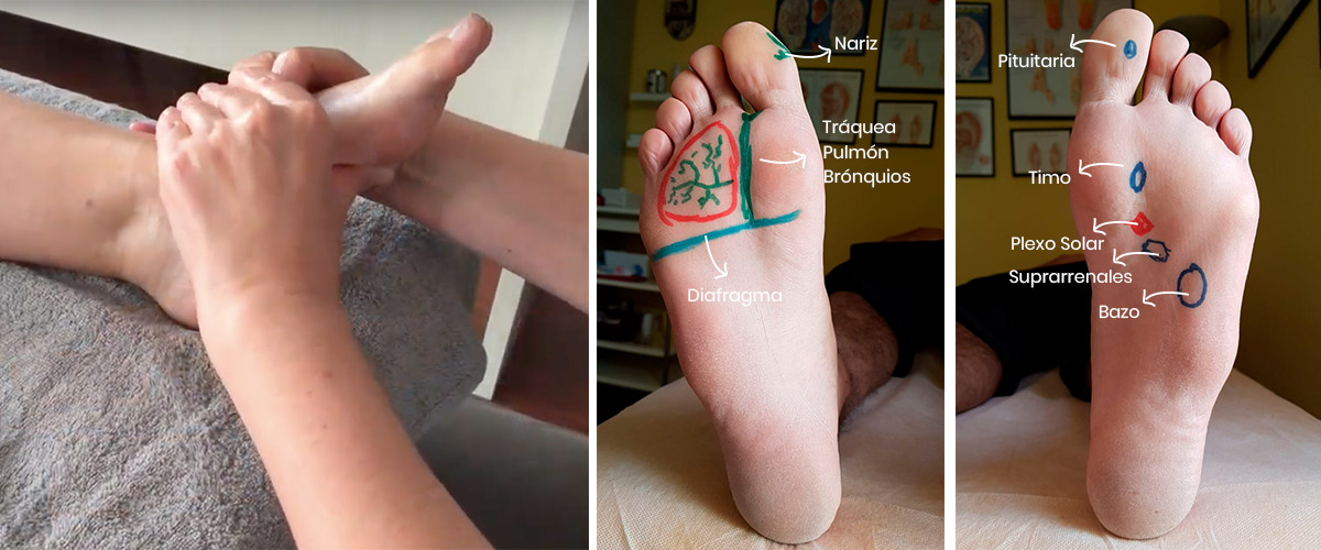 El asma. Tratamiento desde la Reflexolog a Podal IEN