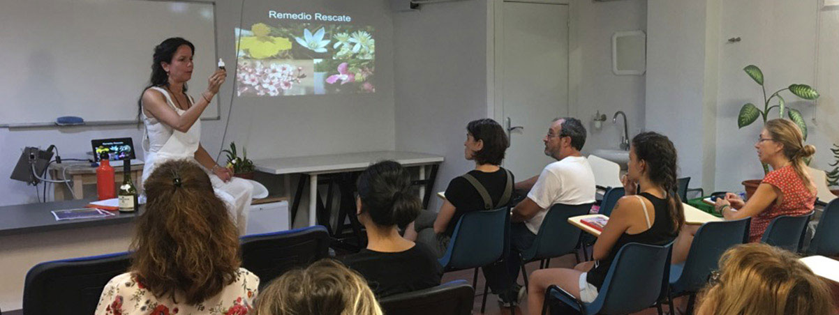 Curso de Flores de Bach en Madrid