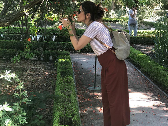 Árbol de la Palma y visita al Jardín Botánico. Fin del Curso de Herbodietética