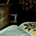 Los tres principios filosóficos del Reino Vegetal según la Espagiria Principios filosóficos del Reino Vegetal según la Espagiria