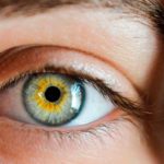 El diagnóstico a través de la Iridiología Iridiología