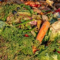 16 de Octubre: Día Mundial de la Alimentación 16-octubre-dia-mundial-alimentacion