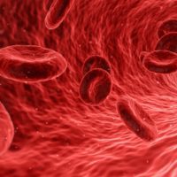 ¿Qué es la anemia? que-es-la-anemia